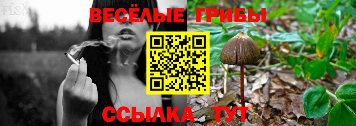 купить  сайты  Псилоцибиновые грибы Psilocybe  Вход с VPN  Галлюциногенные грибы Magic Shrooms  Сердобск 